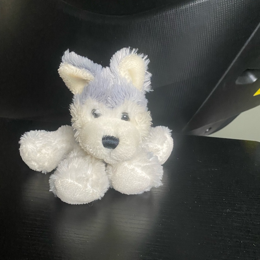 Webkinz Husky Dog
